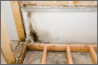 Wet Basement Water Proofing