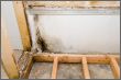 Wet Basement Water Proofing
